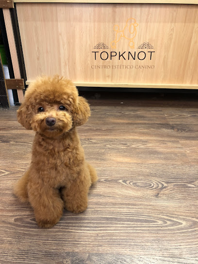Topknot | Peluqueria para perros en Madrid