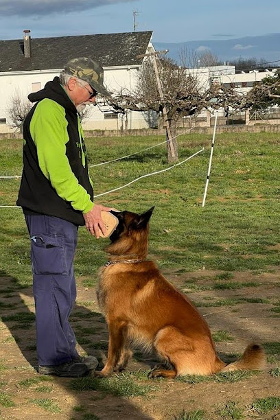 Canis Bierzo | Adiestradores de perros en Cubillos del Sil