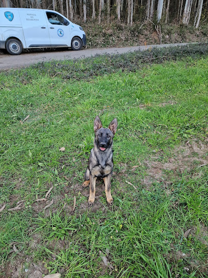 Mantrailing | Adiestradores de perros en Cesuras