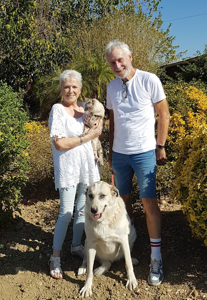 Cat and Dog World | Guardería para perros en Alhaurín el Grande