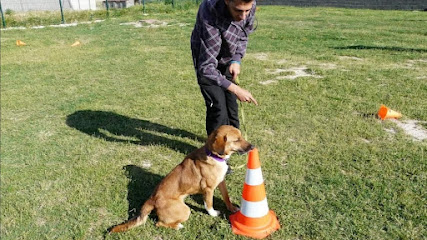 El Eden Canino | Adiestradores de perros en Valladolid
