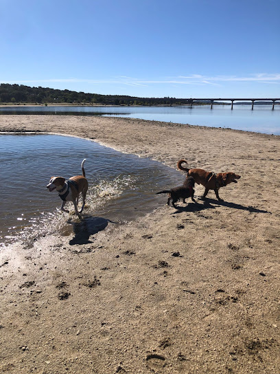 Dogsnatura | Adiestradores de perros en Collado Villalba
