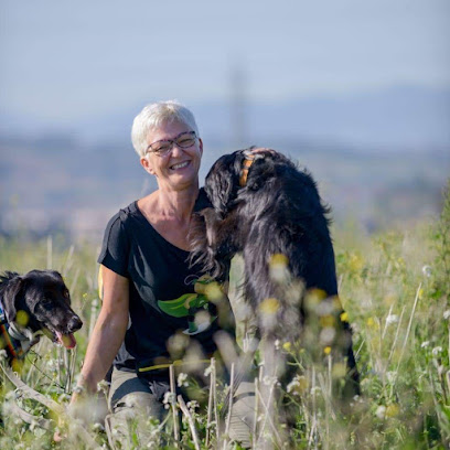 Barcelona Dog Care | Guardería para perros en Barcelona