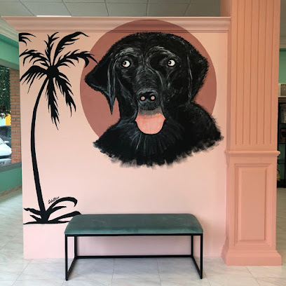 Dog Paradise Amor Animal | Peluqueria para perros en Benisa