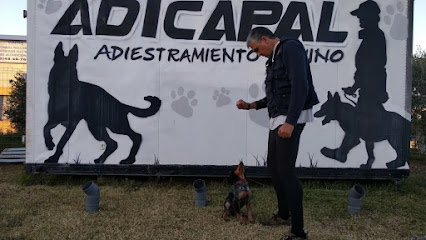 Centro Canino Adicapal | Adiestradores de perros en Cordoba