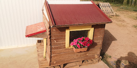 Jaranela | Guardería para perros en Martin del Rio