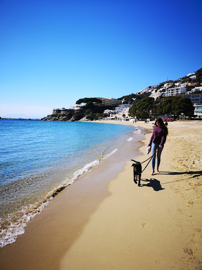 Amigos de Kronk | Adiestradores de perros en Sant Cugat del Valles