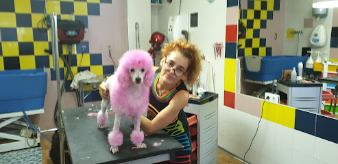 La Pantera Rosa | Peluqueria para perros en Aranjuez