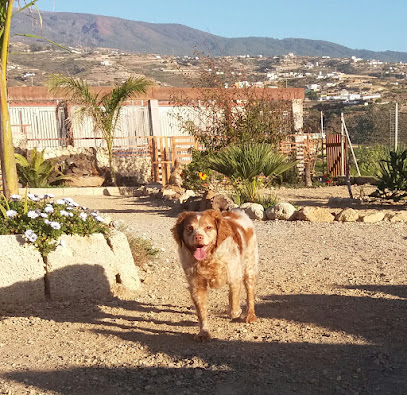 PROANICAN | Guardería para perros en Santa Cruz de Tenerife