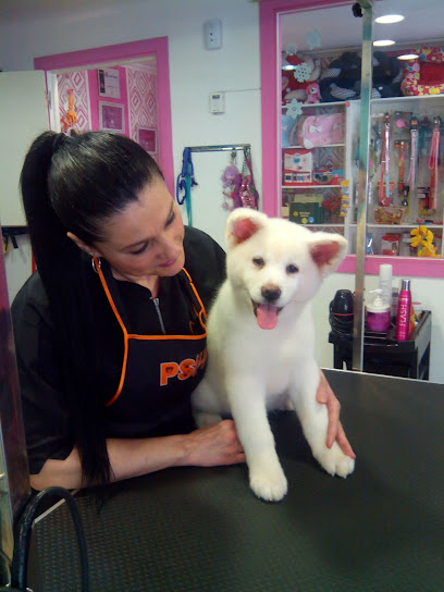 El Caniche Azul | Peluqueria para perros en Almería