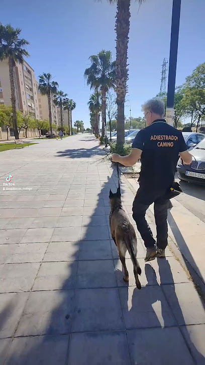EquipoCan | Adiestradores de perros en Campanillas