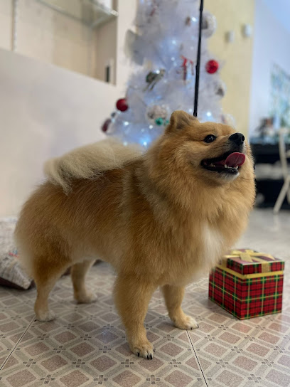 Rocío García Lepe | Peluqueria para perros en Lepe
