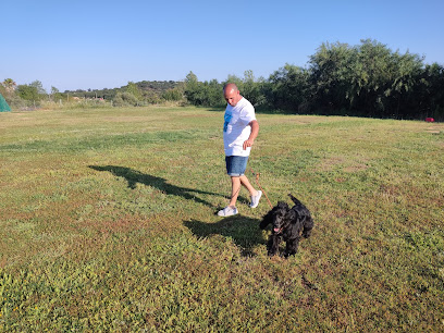 La Dehesa | Guardería para perros en Aljaraque