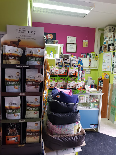 Iris | Peluqueria para perros en Daganzo de Arriba