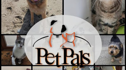 PetPals | Guardería para perros en La Vila Joiosa