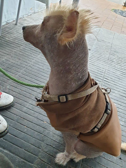 Beautiful Can | Peluqueria para perros en Miranda de Ebro