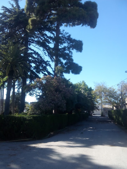 RODMAN BAIX CAMP | Riudoms