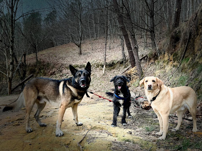 Canin Trail | Guardería para perros en Irun