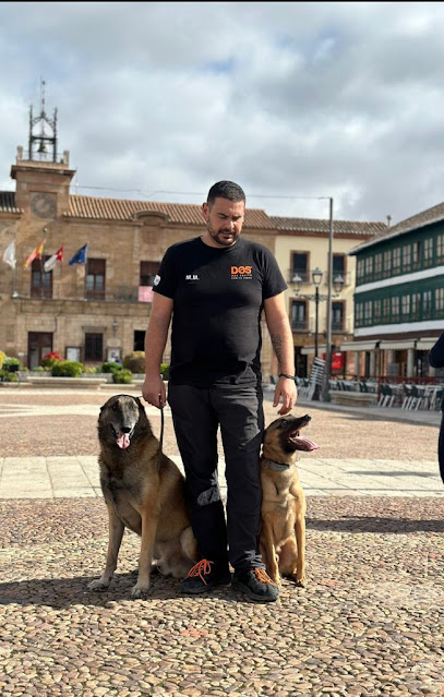 Adiestramiento Ciudad Real | Adiestradores de perros en Ciudad Real
