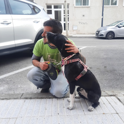 Educan | Av. Monasterio de Silos | Adiestradores de perros en Madrid