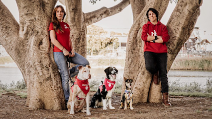 Caliani K9 | Adiestradores de perros en Sevilla