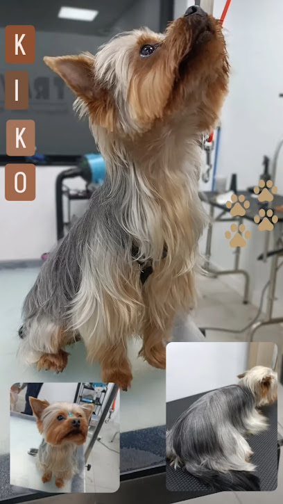 Traviesos | Peluqueria para perros en Sevilla