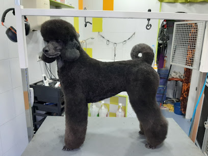 Gua Guapos | Peluqueria para perros en Fuengirola