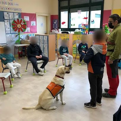 Mi Perro Sabe | Adiestradores de perros en Moralzarzal
