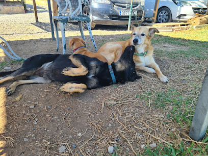 Ilea Educacion Canina | Adiestradores de perros en Estacion de Cartama