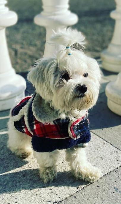 MUNDOCAN | Guardería para perros en Ciudad Real
