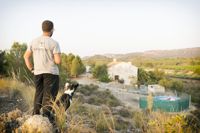 Argocan | Adiestradores de perros en Cehegin