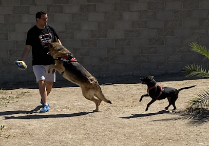 Adrian Serrano | Adiestradores de perros en Las Ventas de Retamosa