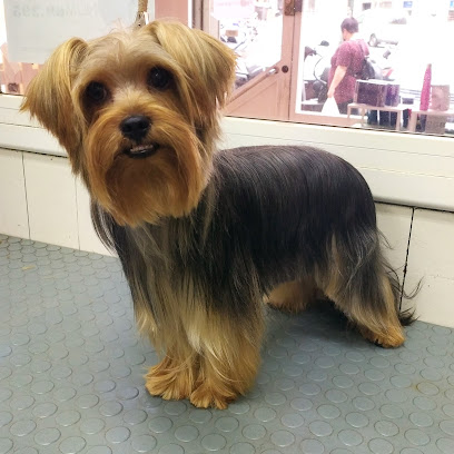 Pels Pèls | Peluqueria para perros en Barcelona