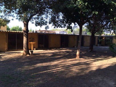 Cau del Duc | Guardería para perros en Gualta