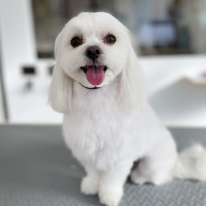 Guau! Jenifer Stil | Peluqueria para perros en Pineda de Mar