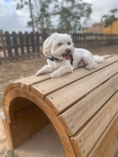 Merci My Dog | Adiestradores de perros en Alicante