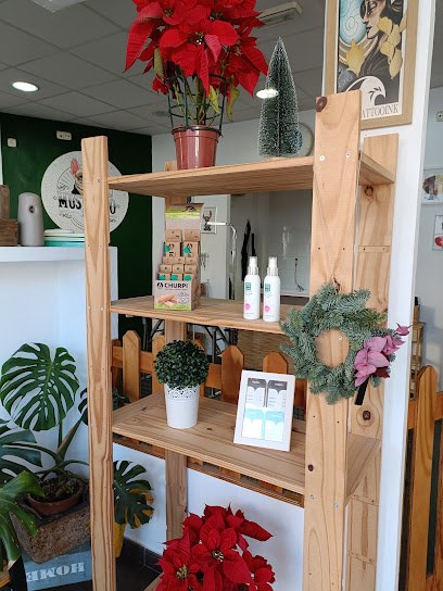 Mustacho | Peluqueria para perros en El Ejido