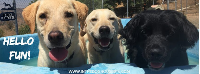 Doghouse | Guardería para perros en Almogia