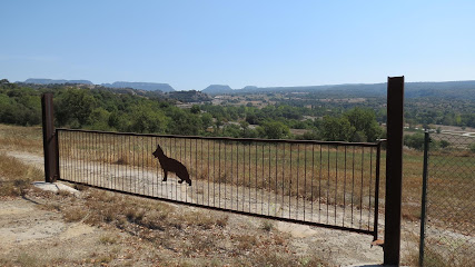 El Planas | Guardería para perros en Sant Marti Sescorts