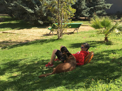 DoginProgress | Adiestradores de perros en Badalona