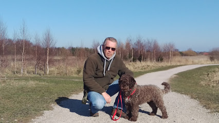Positive Dog Training & Boarding | Adiestradores de perros en Almeria