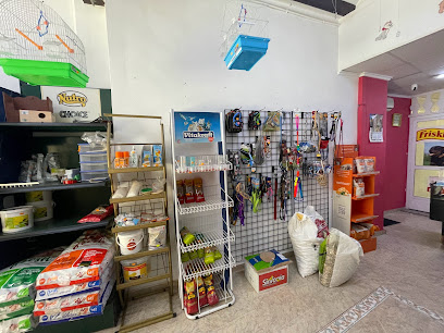 Emi | Peluqueria para perros en Benaguacil