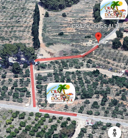 CRAZY DOGS ALTEA | Guardería para perros en Altea