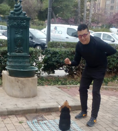Tactical Dog Valencia | Adiestradores de perros en Valencia