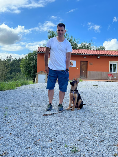 Akindi | Adiestradores de perros en Hornedo