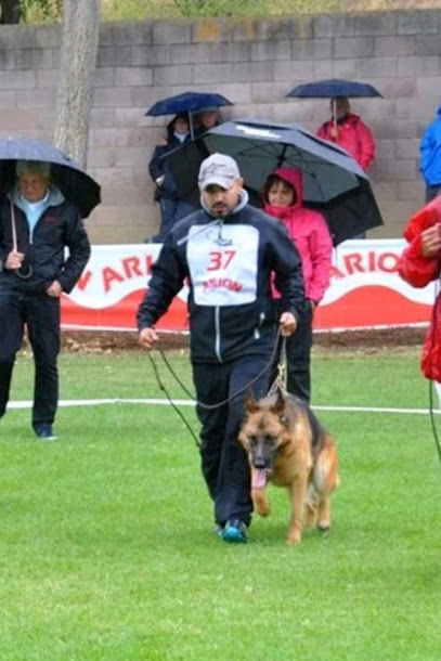 Dog Center | Adiestradores de perros en Vidreres