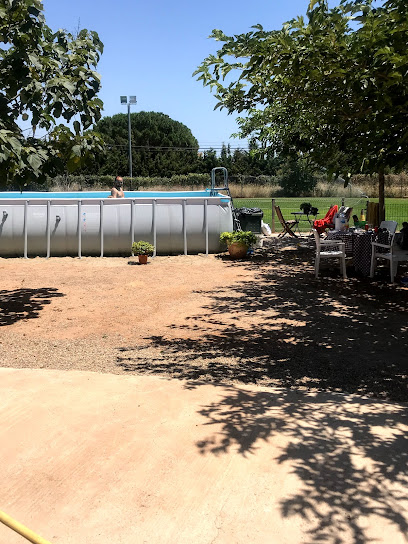 Hotel cani Tossuts | Guardería para perros en Riudoms