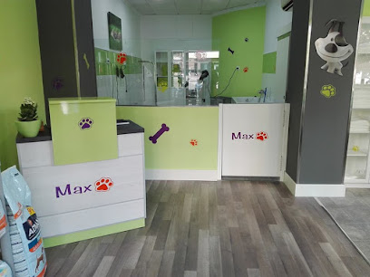 Max | Peluqueria para perros en Cartagena