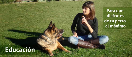 Gufy | Guardería para perros en Madrid