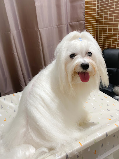 Huellas | Peluqueria para perros en Foz